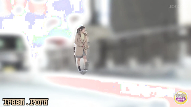 SL-619 公衆トイレの隠しカメラ Hidden Camera on Public Toilet Part 3