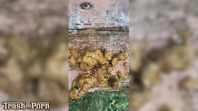 NastyAzzLaLa – Poop Compilation 19 (outdoor poops)