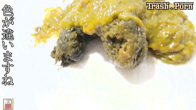 JG-549 家庭用うんこをクローズアップ Close-Up Domestic Poop Part 3