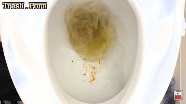 JG-549 家庭用うんこをクローズアップ Close-Up Domestic Poop Part 5