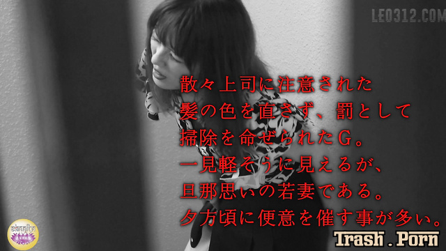 Sharila SL-248 社内盗撮 働く女の大便記録 健康便と下痢便の日 弐 Diarrhea Days