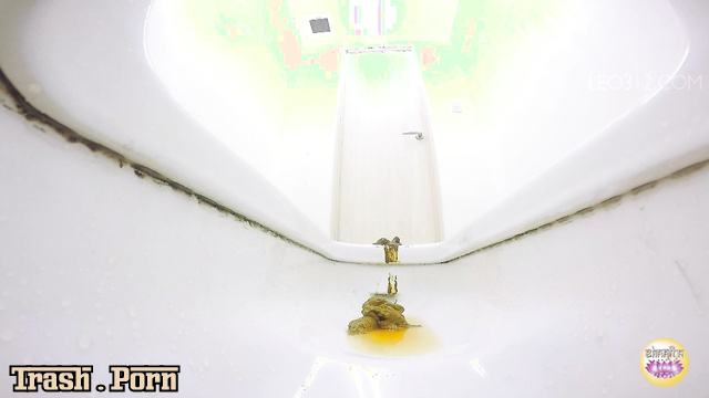 Sharila SL-301 Toilet Scat トラブル大便 シャリラ  No no Paper, no Flushing