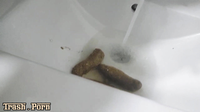 NataschaDirty – I poop in a sink