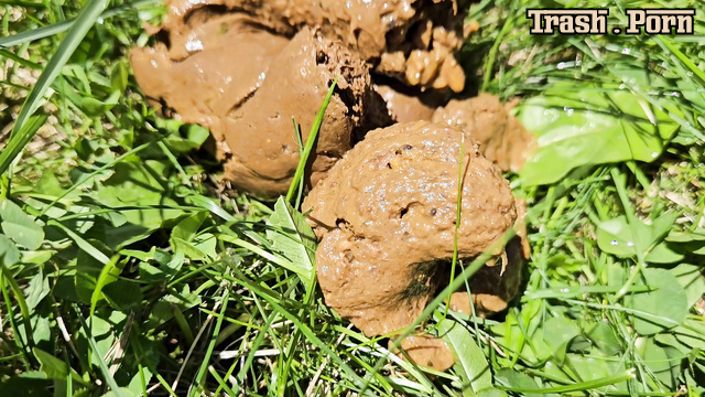 Fountain of poop and urine outdoors (Nerdy Faery)