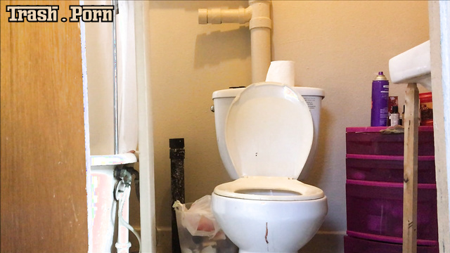 Her life's goals and passion are cleaning up shit in toilets, funkyladies
