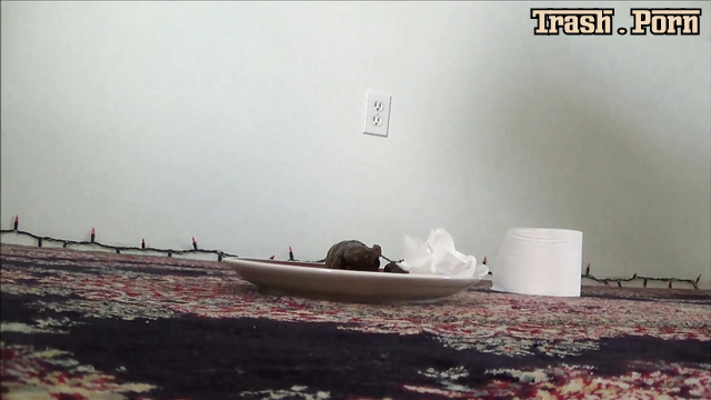 Self Filmed Amateur Shitting