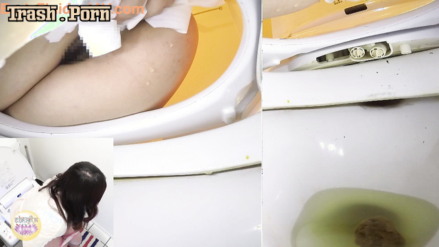 BFSL-71 Using the Friends Toilet to Shit 3 友達のトイレを使ってたわごと HD
