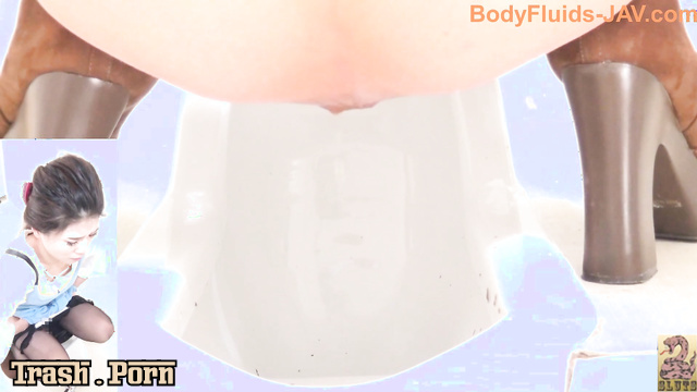 BFSR-231 トイレスパイカメラのうんち