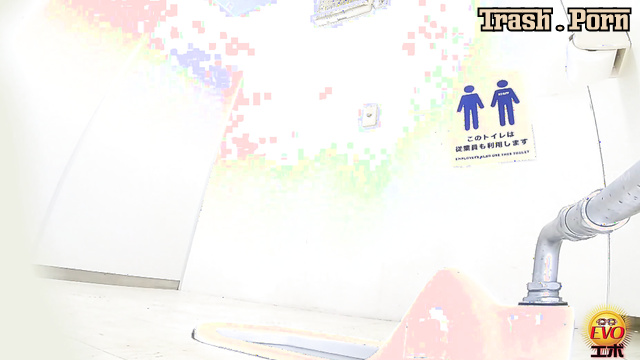 EE-720 Bladder Limit Nurse Japanese Style Toilet Protruding Pee Part 3