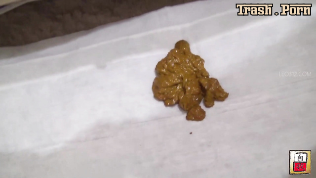 JG-547 クローズアップショット。 家庭用うんこ Close-Up Shot. Domestic Poop Part 3