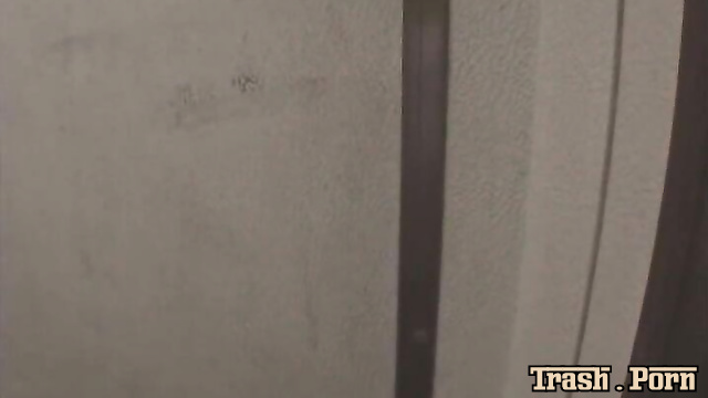 DBHS-04 Fecal excretion in toilet