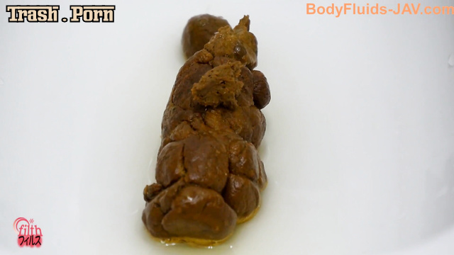 BFFF-222 Toilet Big Turd Closeup トイレの大群のクローズアップ