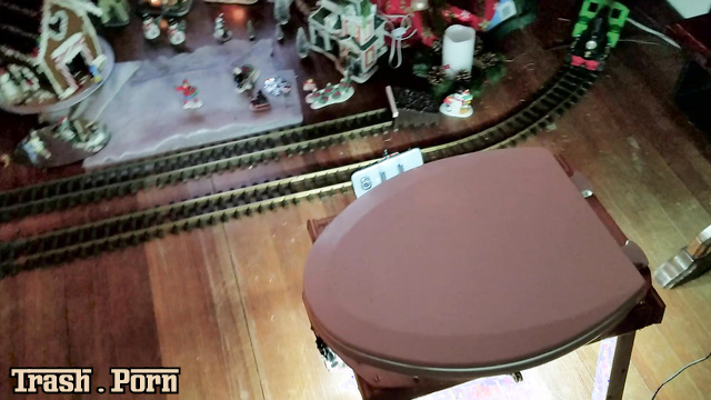 Yummy cookies for dear Santa (defecation near the Christmas tree)