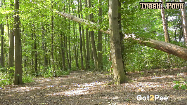 Forest is a great place to pee (it's quiet and peaceful there)