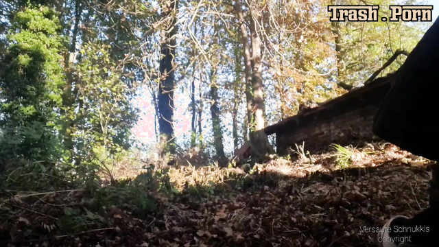 ScatBook - Versauteschnukkis Piss, Poop and Trash in the Forest