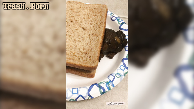 Babe made this shitty sandwich for you, enjoy (Softservequeen)