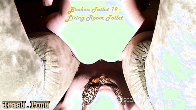 Goddess Tempest asked him to be her serviceable toilet (because it broken)