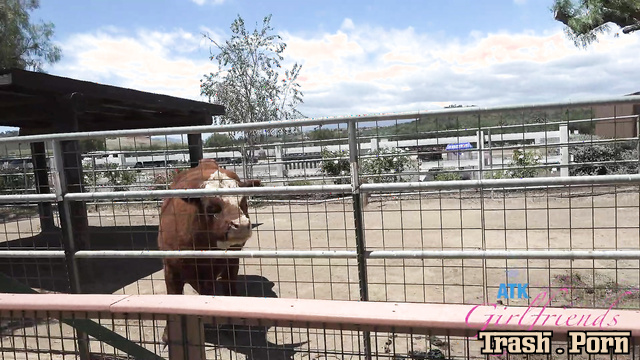 She's happy you're taking her to the farm (Selina Imai will pee in your car)