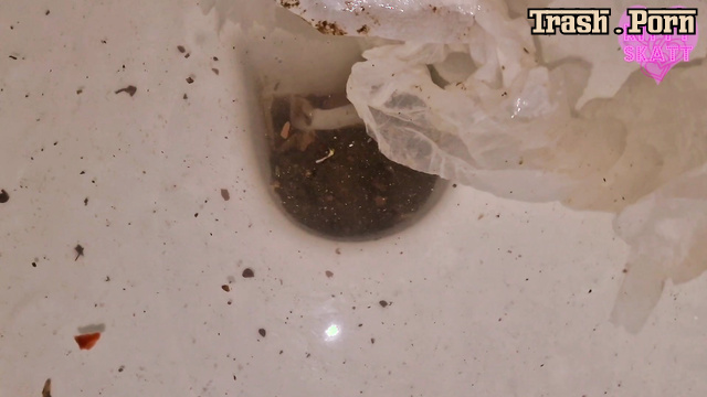 Kitty Skatt pooped and then crushed her shit up with a toothbrush and comb